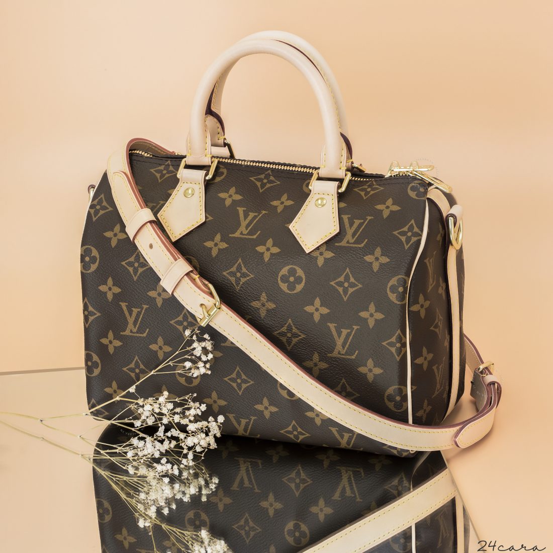 LOUIS VUITTON SPEEDY 25 MONOGRAM CANVAS